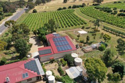 Photo from above showing roof of house covered with solar panels, and surrounded by green vineyards