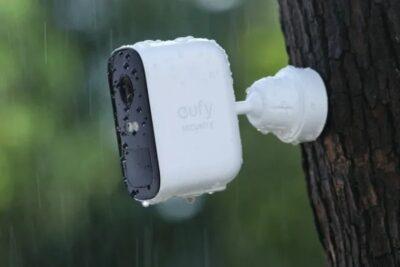 Photo of a Eufy security camera mounted on the side of a tree's trunk