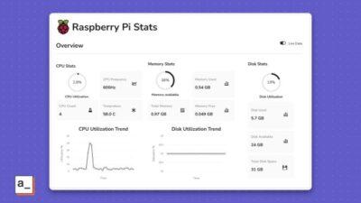 Screen showing Raspberry Pi stats with circle icons showing CPU, memory usage, disk usage, CPU trend graph, etc.