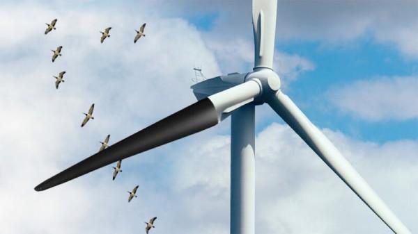 White wind turbine with one blade painted back, and flock of birds flying past