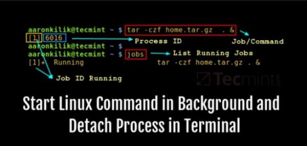 Terminal screen with outputs from commands