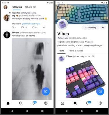 Social media feed that closely resembles Twitters with posts showing text description and an image