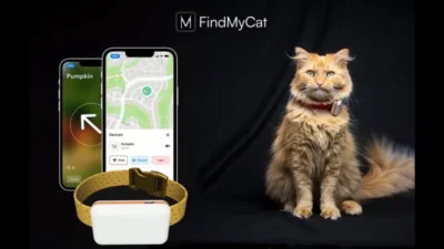 On the left an iPhone showing a map with an icon representing the device being tracked, and in front of it a small yellow collar with a flat white rectangular device mounted on the collar. To the right sits a long-haired ginger-white cat facing the camera, with a bushy tail extending to the right side of the image.