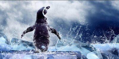 Penguin standing on ice with waves splashing around it