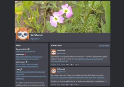 Typical social network profile with a banner across the top (this one showing two purple flowers with green leaves behind), an icon of a face, and name GoToSocial with an address handle @gotosocial. To the left side is a pane with a heading About and some links to documentation, support us, Matrix space, etc. To the right side a pane shows pinned posts with two posts shown with status updates for the network.