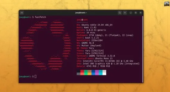 Linux terminal screen woth dark maroon colour background. An app has been run to show essential system stats that look very much like the Neofetch app does.