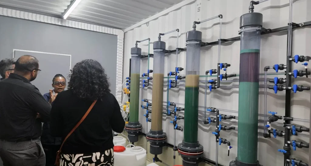 Transparent tubes containing special chemicals that extract valuable metals from lithium-ion batteries, are attached to a wall. In front stands three people being addressed by a 4th person who is explaining the process.