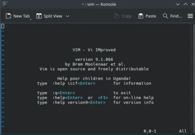 The image shows a computer screen displaying a VIM editor. The foreground is dominated by text providing information about VIM, its version, and a plea to help children in Uganda. The background consists of a dark-colored theme with a simple menu bar at the top, showing standard options like 'New Tab', 'Split View', 'Copy', and 'Paste'. The overall setting appears to be a text-based interface, typical of a Linux or Unix-like operating system.