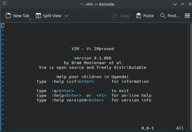 The image shows a computer screen displaying a VIM editor. The foreground is dominated by text providing information about VIM, its version, and a plea to help children in Uganda. The background consists of a dark-colored theme with a simple menu bar at the top, showing standard options like 'New Tab', 'Split View', 'Copy', and 'Paste'. The overall setting appears to be a text-based interface, typical of a Linux or Unix-like operating system.