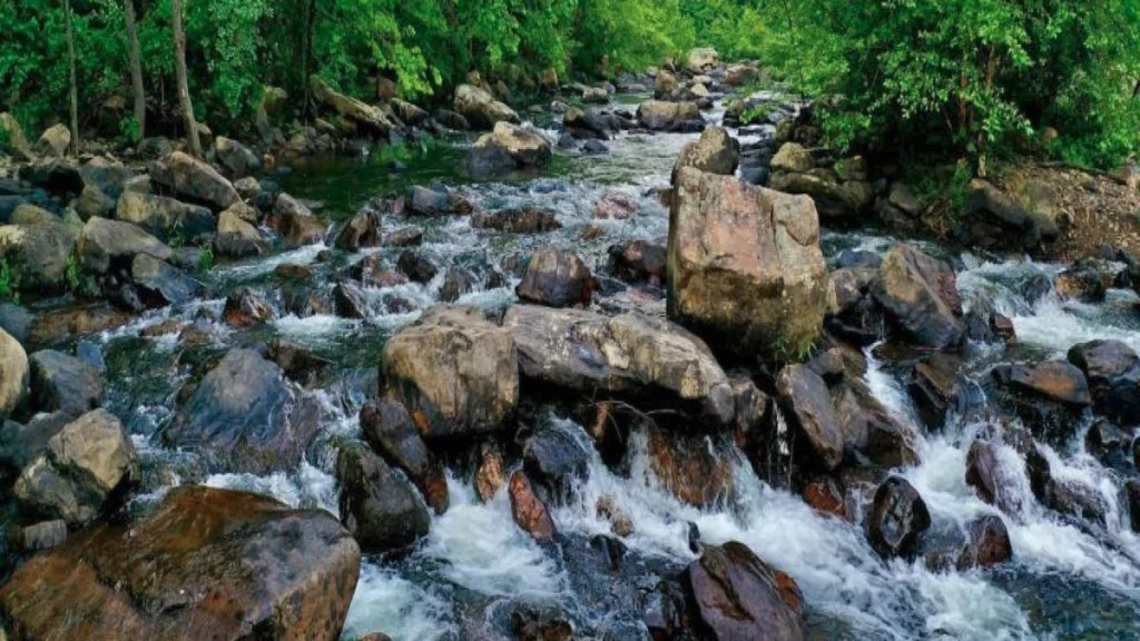 Close view of a stream flowing towards the camera. Various brown rocks litter the bed of the stream. In the background can be seen some green vegetation.