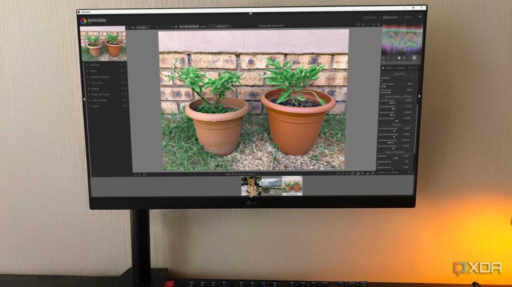 A computer monitor displays two potted plants on a light brown wall background, showcasing image editing software.