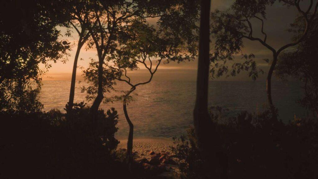 Sunset over calm waters framed by dark silhouettes of trees, creating a tranquil beach scene.