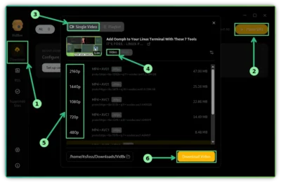 Screenshot of VidBee interface showing options to select video quality and download a video, with annotations for guidance.